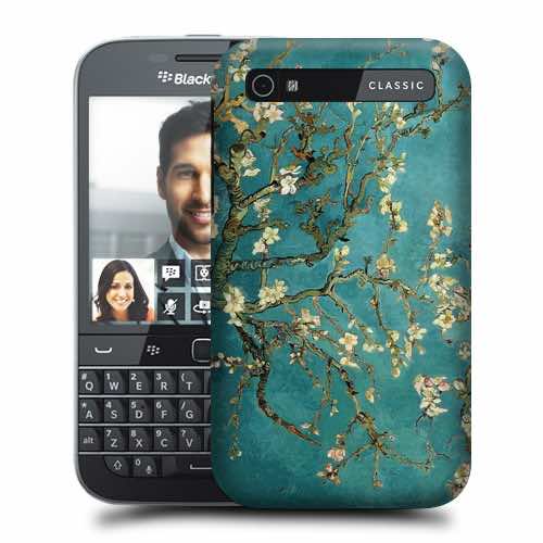 案例有趣杏仁花卡扣硬背案例