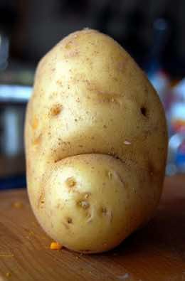 2016-13年度的15个技巧