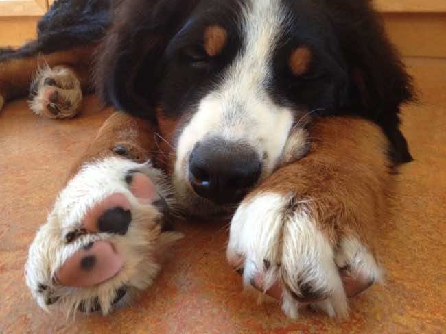 2016-5年度的15个技巧