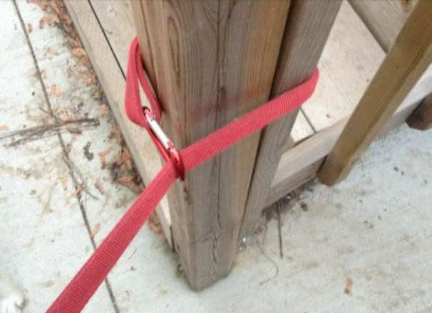 2016-6年度的15个技巧