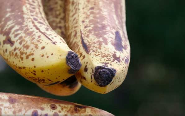 2016-8年度的15个攻略