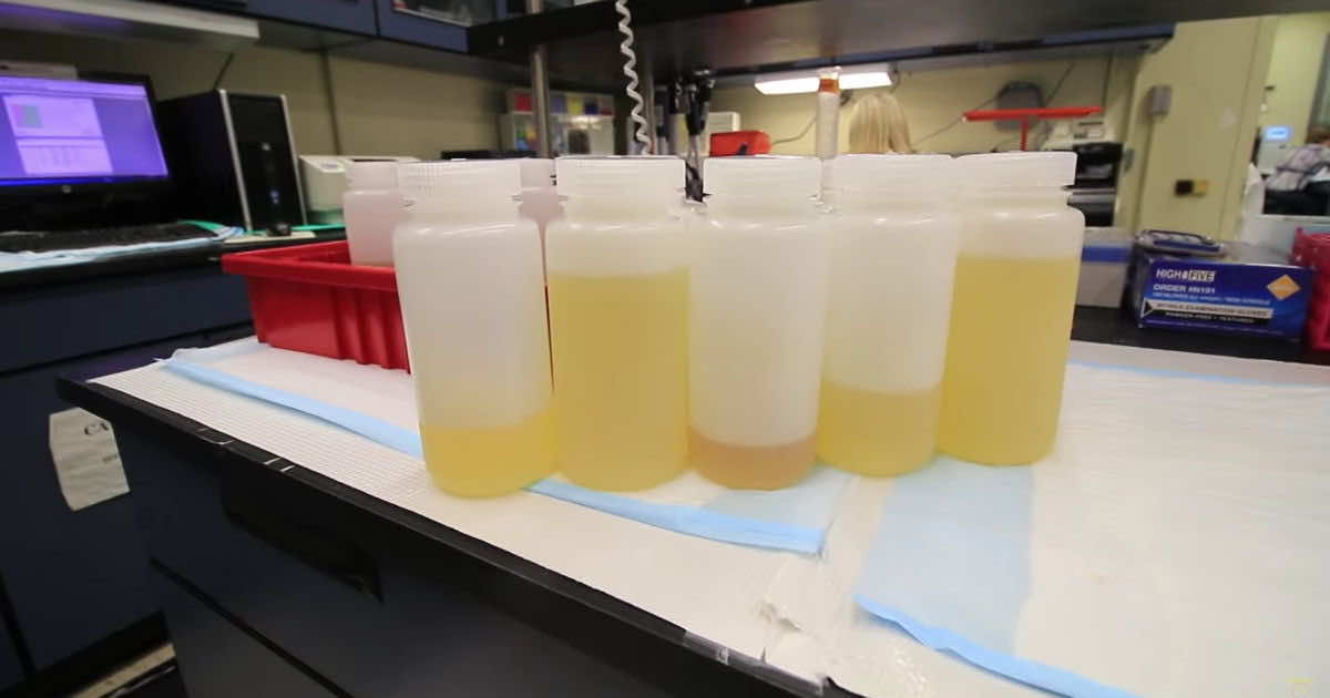 宇航员保留他们的小便，将其带到地球上被燃烧