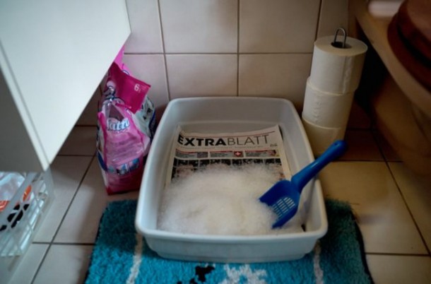 用一种聪明而有效的方法对抗寒冷