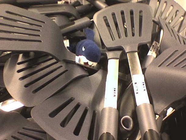 用一种聪明而有效的方法对抗寒冷