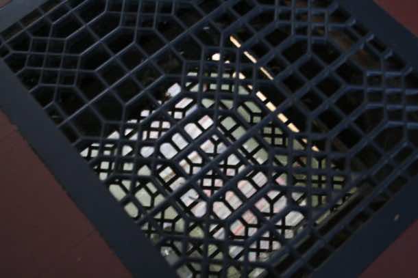 用一种聪明而有效的方法对抗寒冷