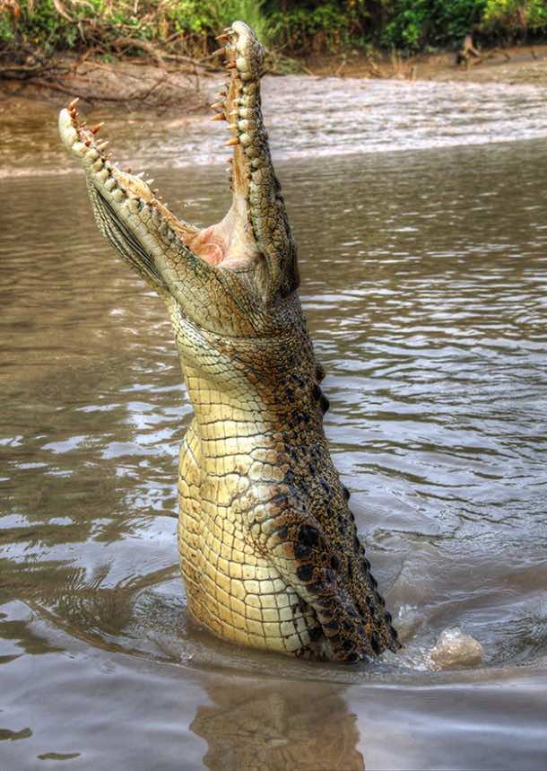 这些地方你不想花假期在4