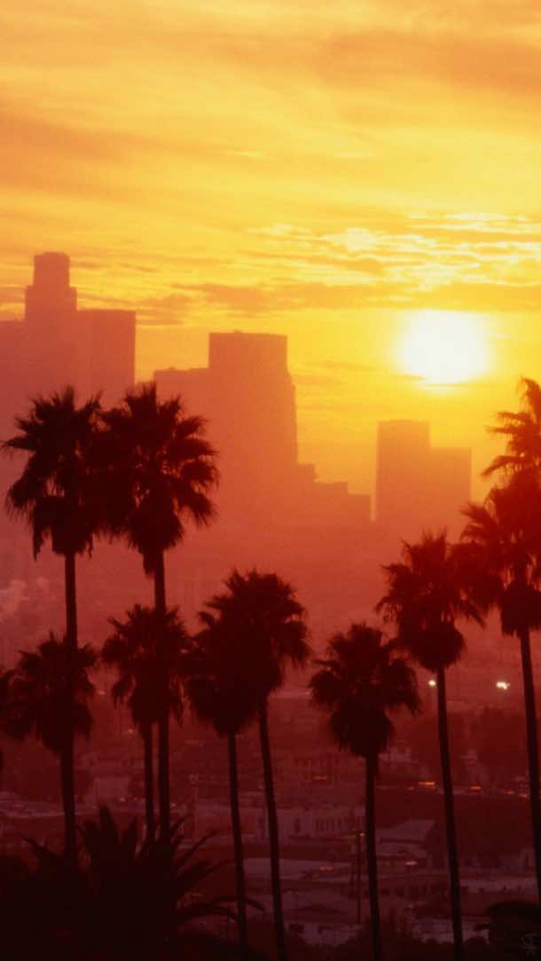 洛杉矶壁纸8