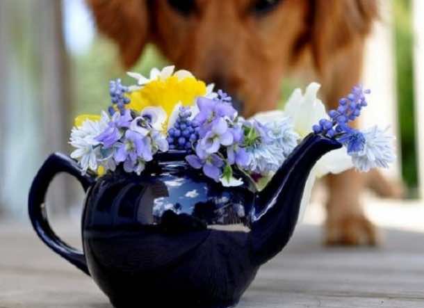 10种方法您可以使用厨房用具装饰10