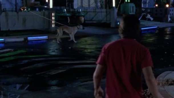 回到未来2 -未来的预测和我们在哪里