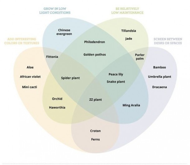 使用这些指南装饰您的房屋15