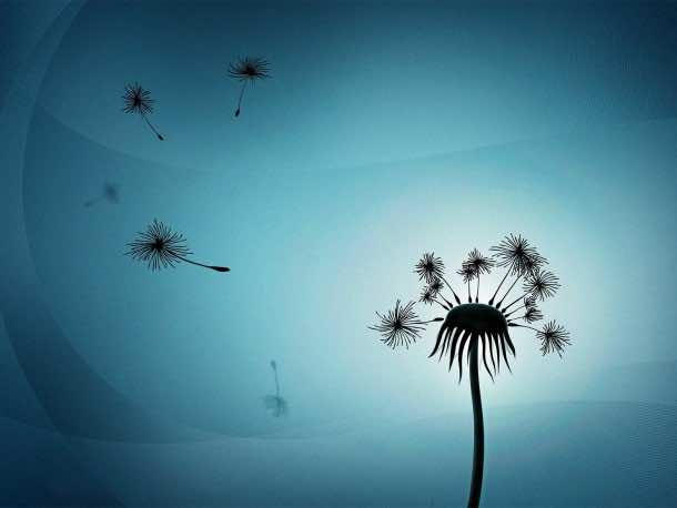 免费桌面壁纸112