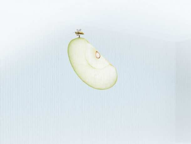 免费桌面壁纸19