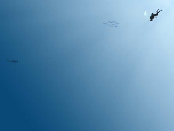 免费桌面壁纸32