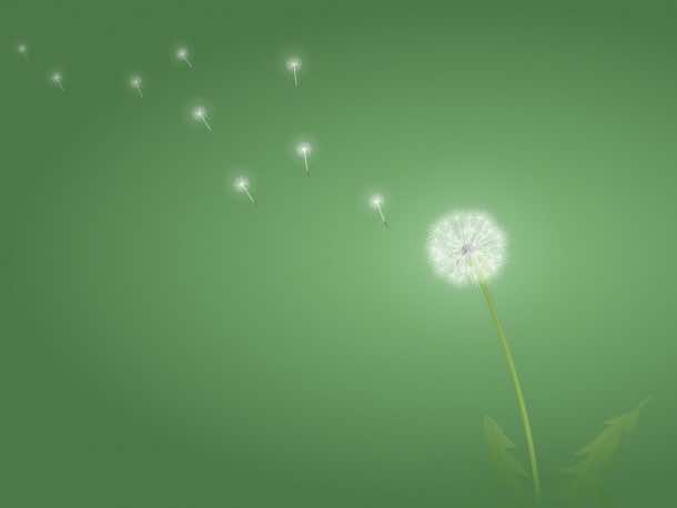 免费桌面壁纸92