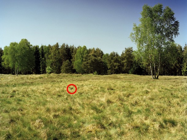 祝你好运，试图找到这些隐藏的狙击手10a