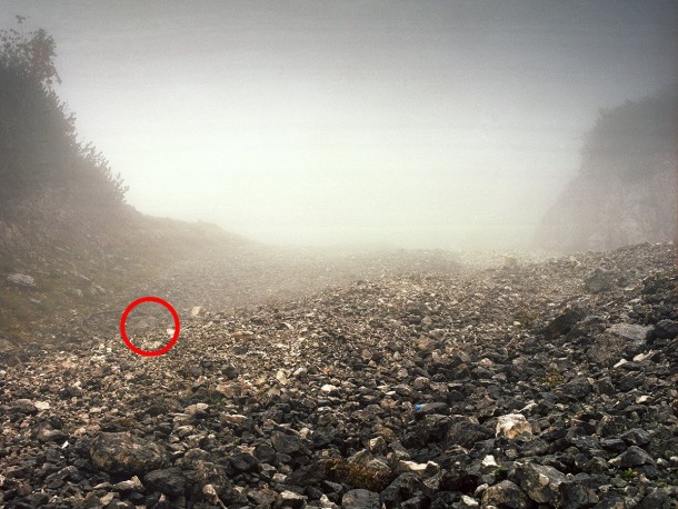 祝你好运，试图找到这些隐藏的狙击手11a