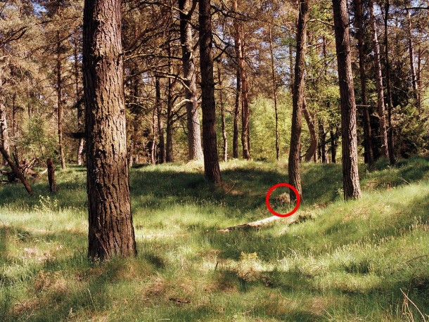 祝你好运，试图找到这些隐藏的狙击手13A