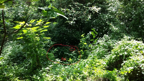 祝你好运，试图找到这些隐藏的狙击手2a