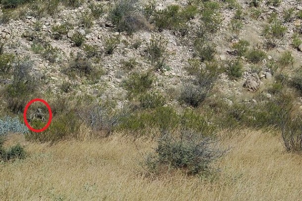 祝你好运，试图找到这些隐藏的狙击手4a