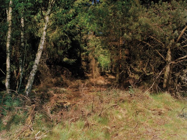 祝你好运，试图找到这些隐藏的狙击手6