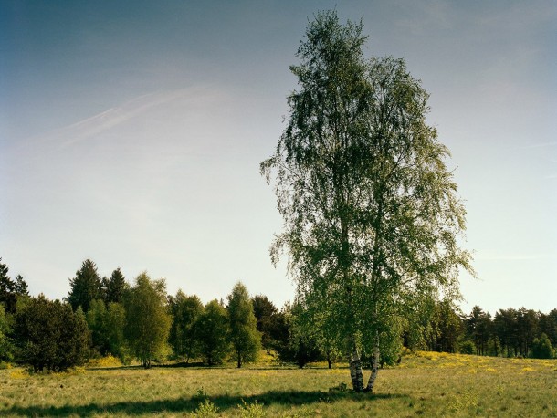 祝你好运，试图找到这些隐藏的狙击手7