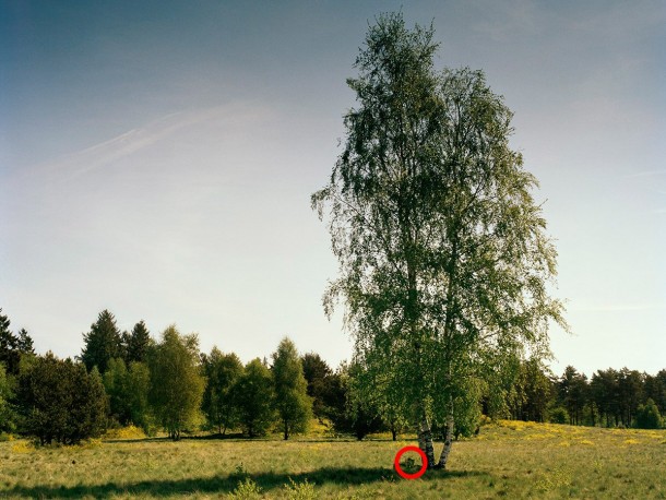祝你好运，试图找到这些隐藏的狙击手7a