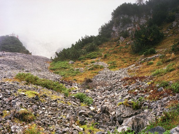 祝你好运，试图找到这些隐藏的狙击手8