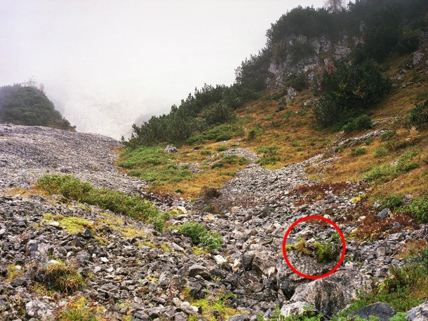 祝你好运，试图找到这些隐藏的狙击手8a