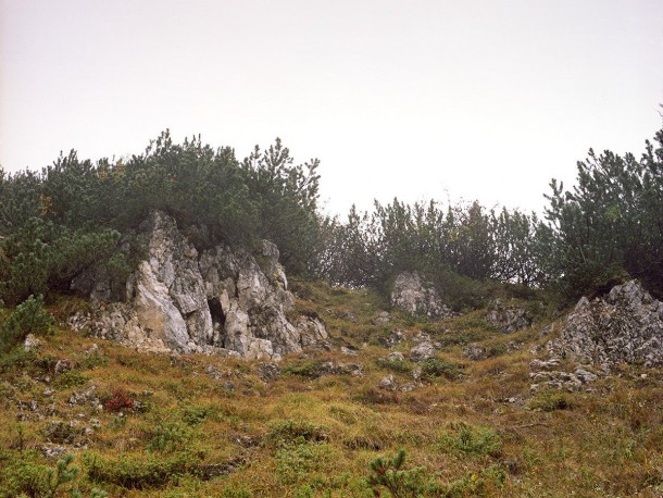 祝你好运，试图找到这些隐藏的狙击手9