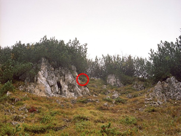 祝你好运，试图找到这些隐藏的狙击手9a