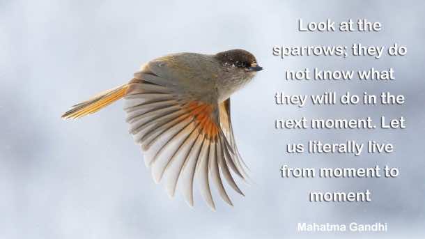 鼓舞人心的名言