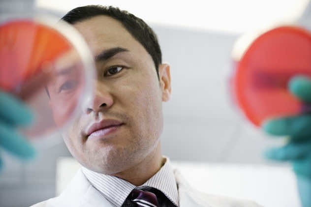 实验室技术员培养皿