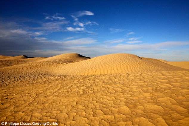 撒哈拉沙漠价值3000万美元的农场