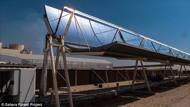 撒哈拉沙漠价值3千万美元的农场