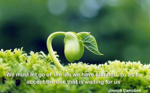 鼓舞人心的报价(7)