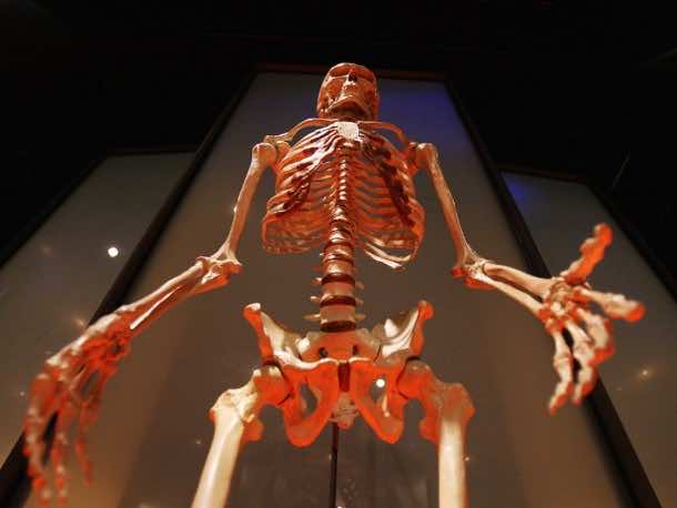 这些都是字母的20个最雄心勃勃的项目7