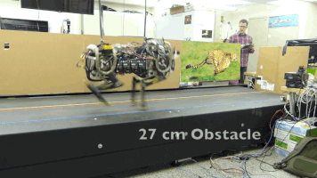 这些字母的20个最雄心勃勃的项目9