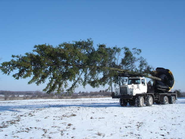 巨大的铁锹用于在其他地方植树