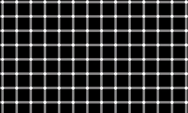 14光学illusions10