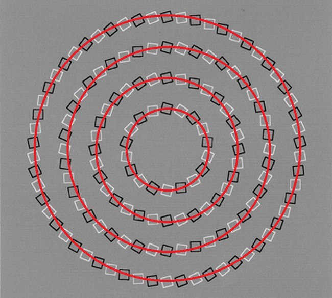 14光学illusions3