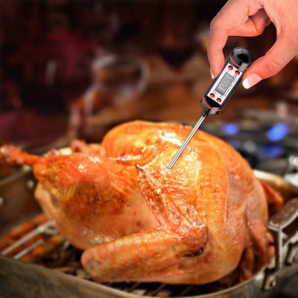 10个最佳食品温度计（7）