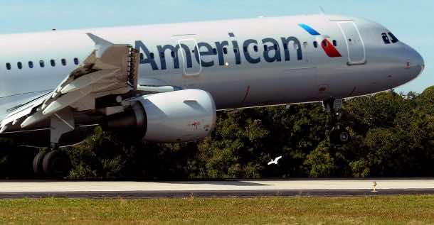 这是一种新技术,可以拯救鸟类爱游戏ayx体育飞入Planes_Image 1