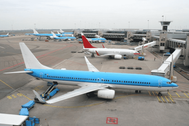 这是一种新技术,可以拯救鸟类爱游戏ayx体育飞入Planes_Image 3