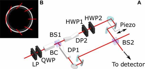 随着光的新形式的发现，量子物理学被重新定义_image 2