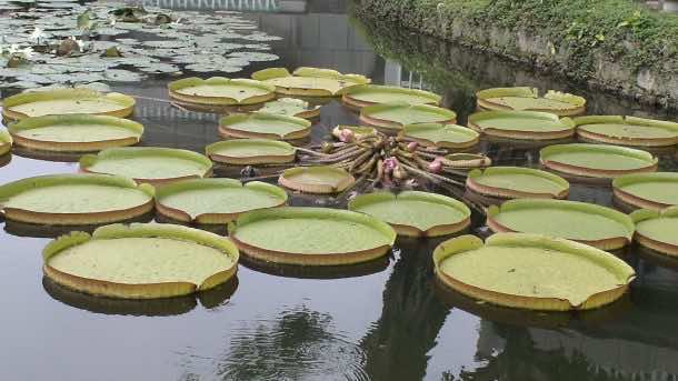 5初等数学问题太难,你可能会让他们Wrong_Image 5