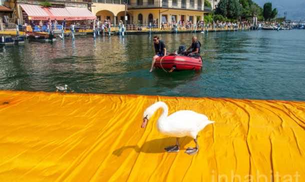 62万人在湖面上行走