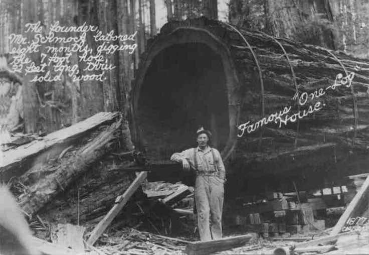 加利福尼亚一个log House5