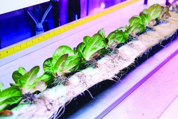 集装箱将重新定义未来的Farming_Image 1