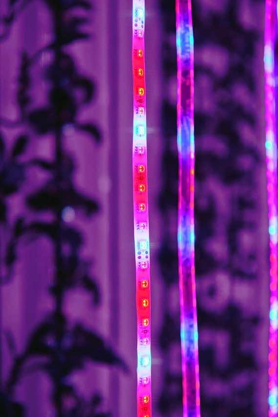 集装箱将重新定义未来的Farming_Image 3