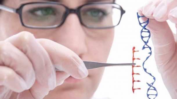 基因编辑的承诺和威胁_Image 1